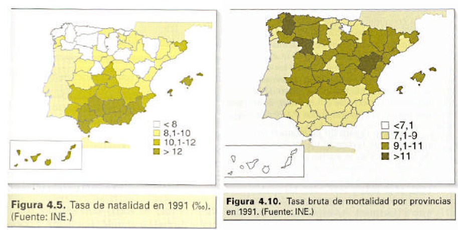 Resultado de imagen de mapa tasas natalidad y mortalidad selectividad andalucia