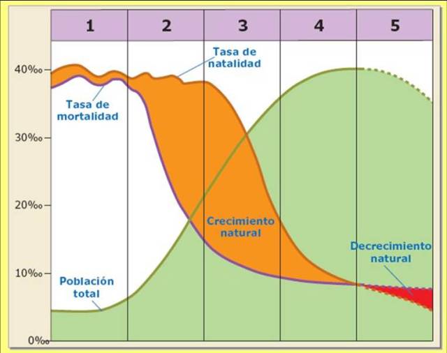 Fases del modelo de Transición demográfica
